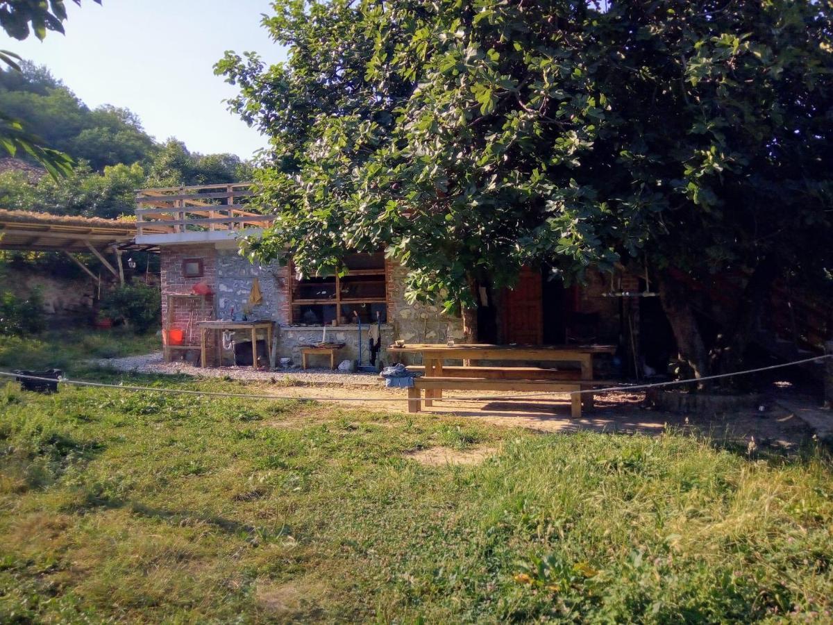 The House In The Village Pellumbas Ngoại thất bức ảnh