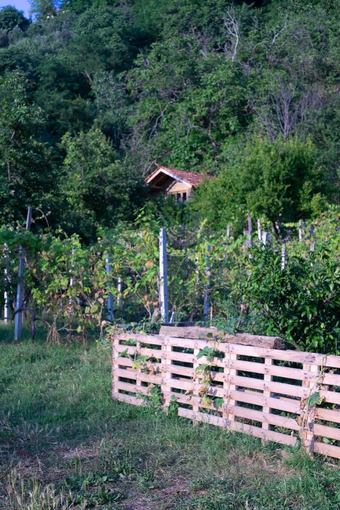 The House In The Village Pellumbas Ngoại thất bức ảnh